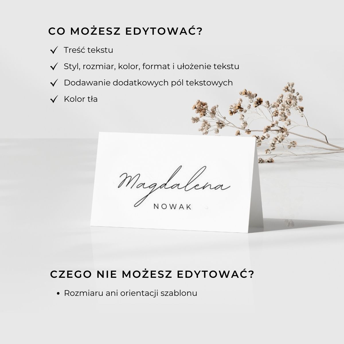 Co można edytować w szablonie winietek Canva